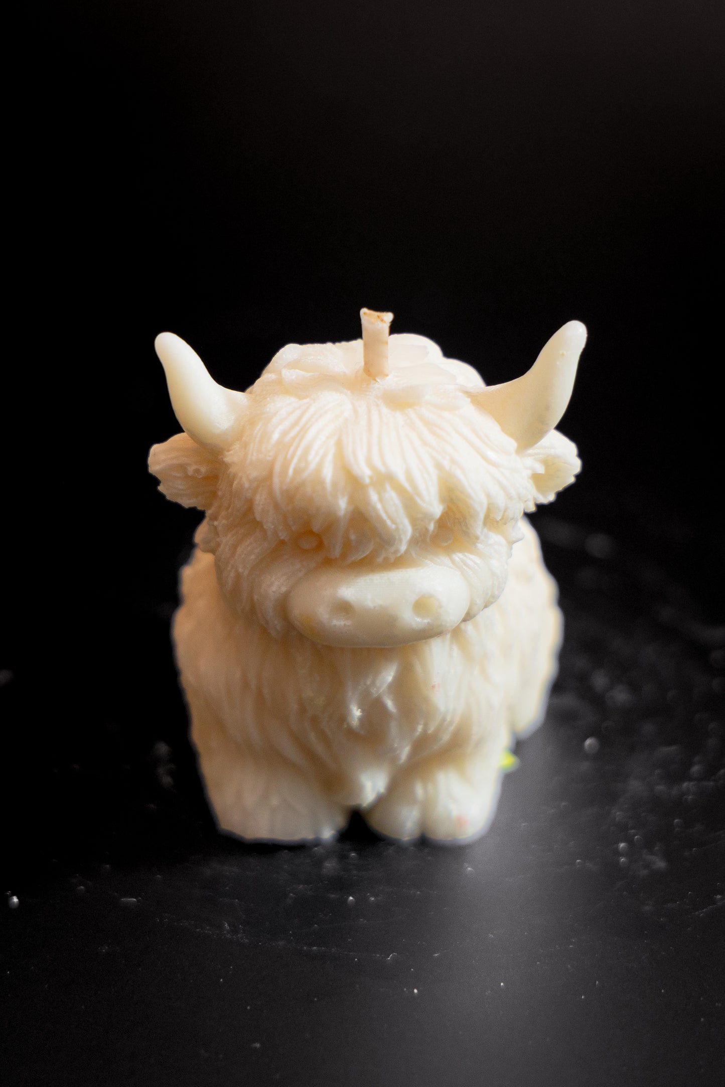 Bison There Done That